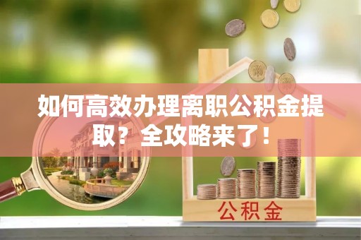 礼县如何高效办理离职公积金提取？全攻略来了！