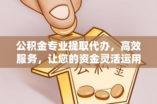 礼县公积金专业提取代办，高效服务，让您的资金灵活运用